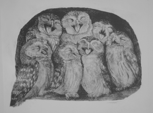 Owls choir